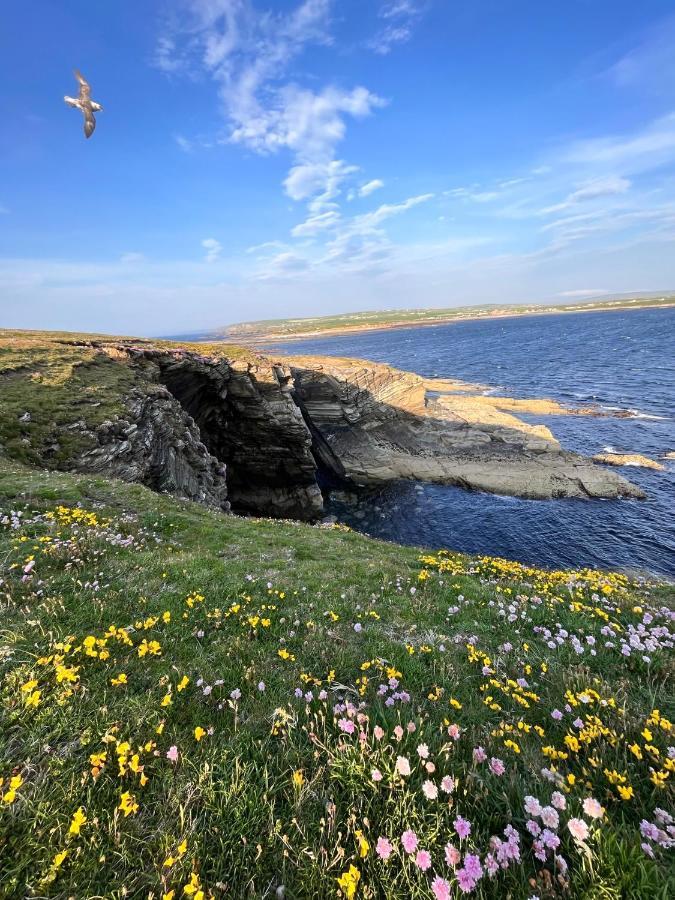 Peedie Cott Self-Catering, Orkney Saint Margarets Hope Ngoại thất bức ảnh